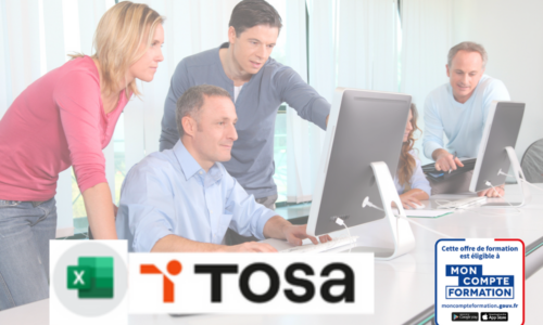 Tosa Excel